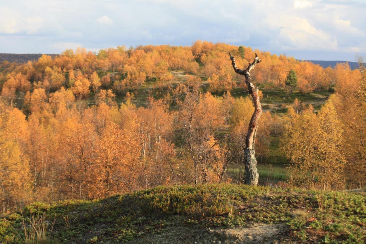 Ounasloma Holiday Cottages Enontekiö Dış mekan fotoğraf