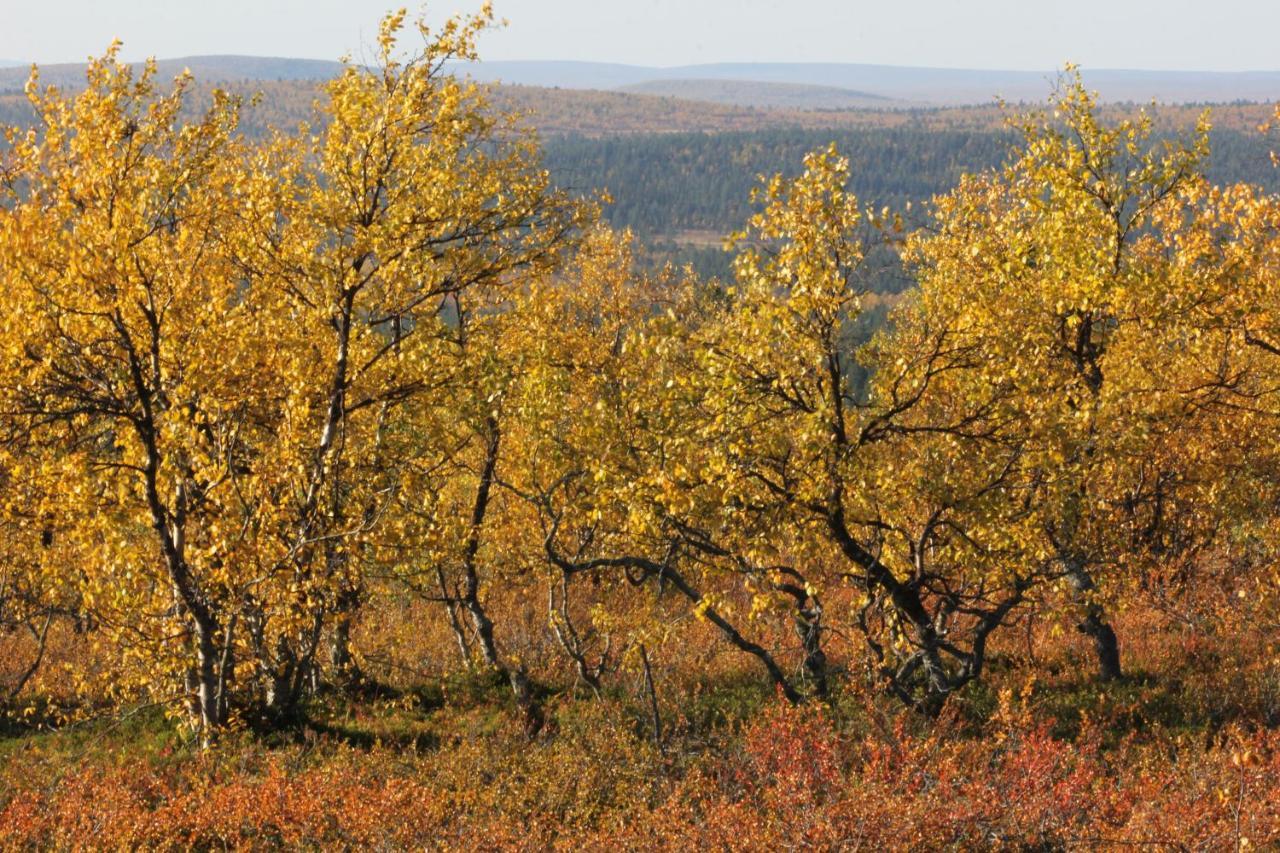 Ounasloma Holiday Cottages Enontekiö Dış mekan fotoğraf
