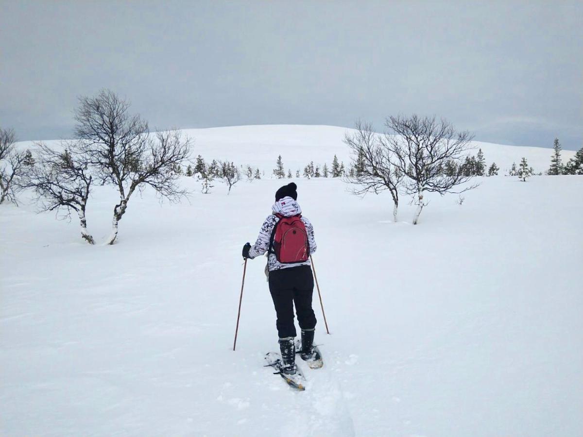 Ounasloma Holiday Cottages Enontekiö Dış mekan fotoğraf