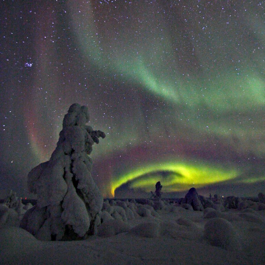 Ounasloma Holiday Cottages Enontekiö Dış mekan fotoğraf
