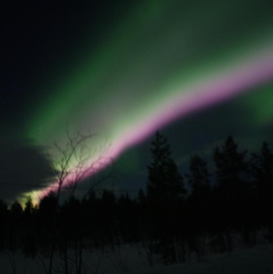 Ounasloma Holiday Cottages Enontekiö Dış mekan fotoğraf
